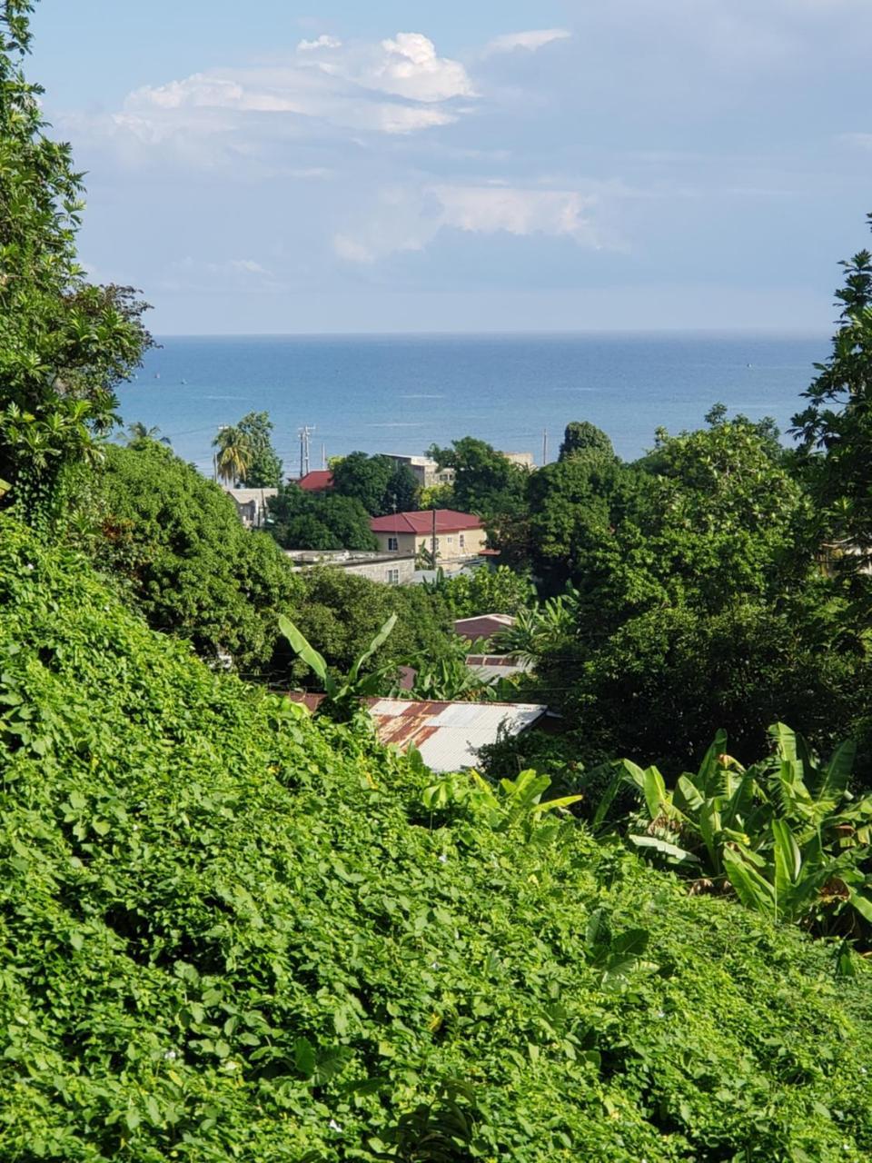 Viva Violas Port Antonio Buitenkant foto
