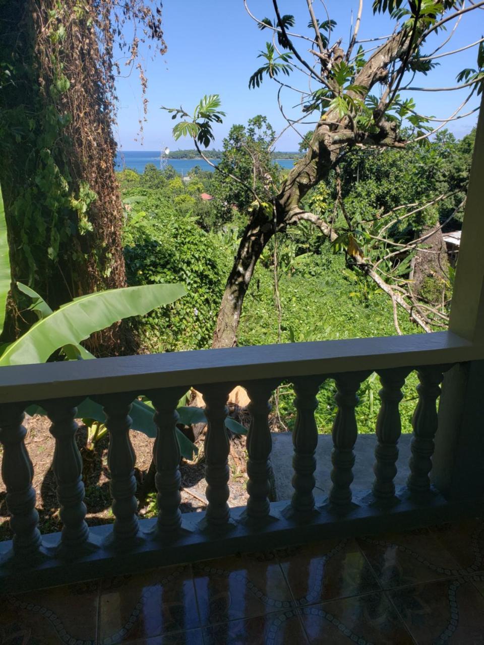 Viva Violas Port Antonio Buitenkant foto