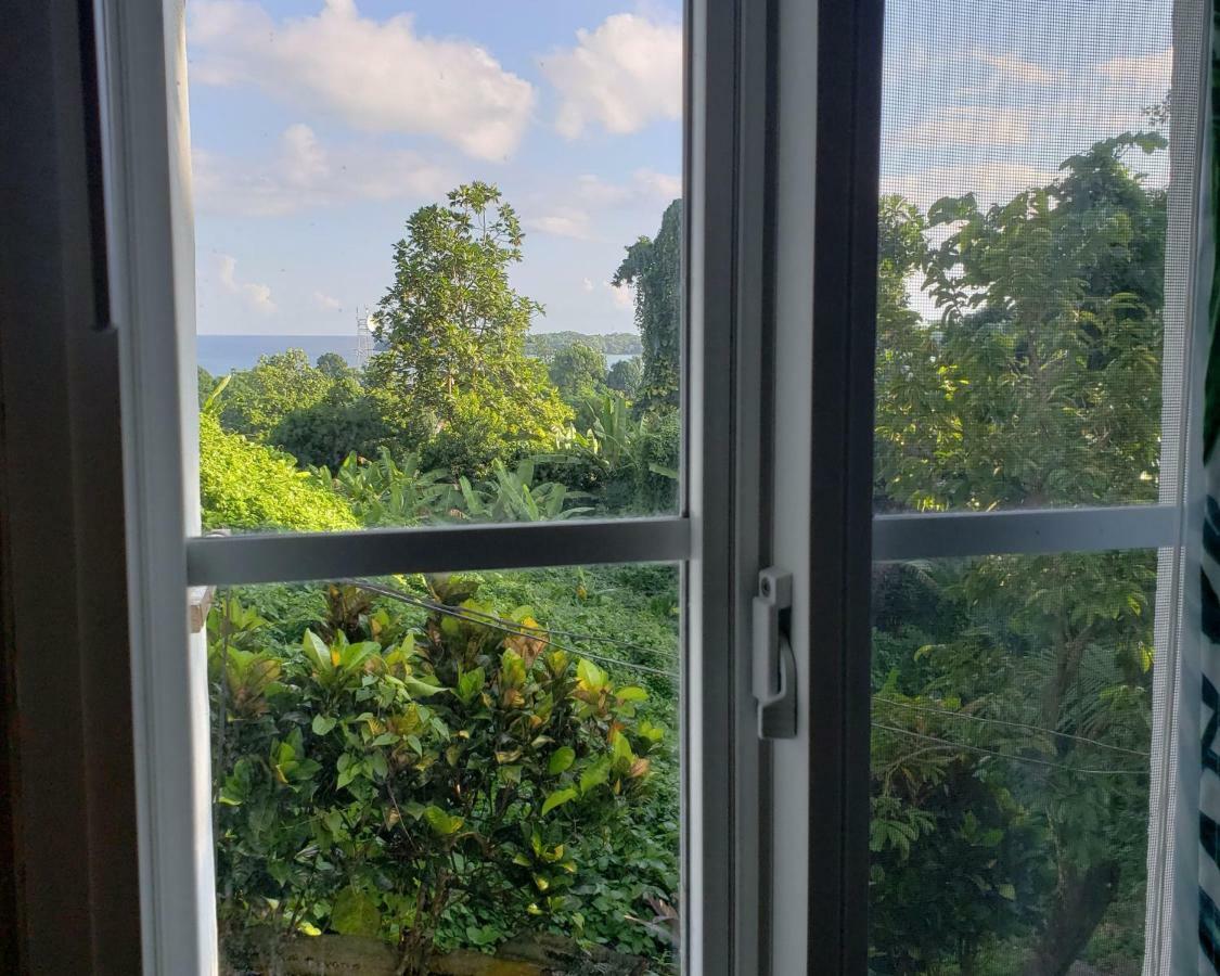 Viva Violas Port Antonio Buitenkant foto