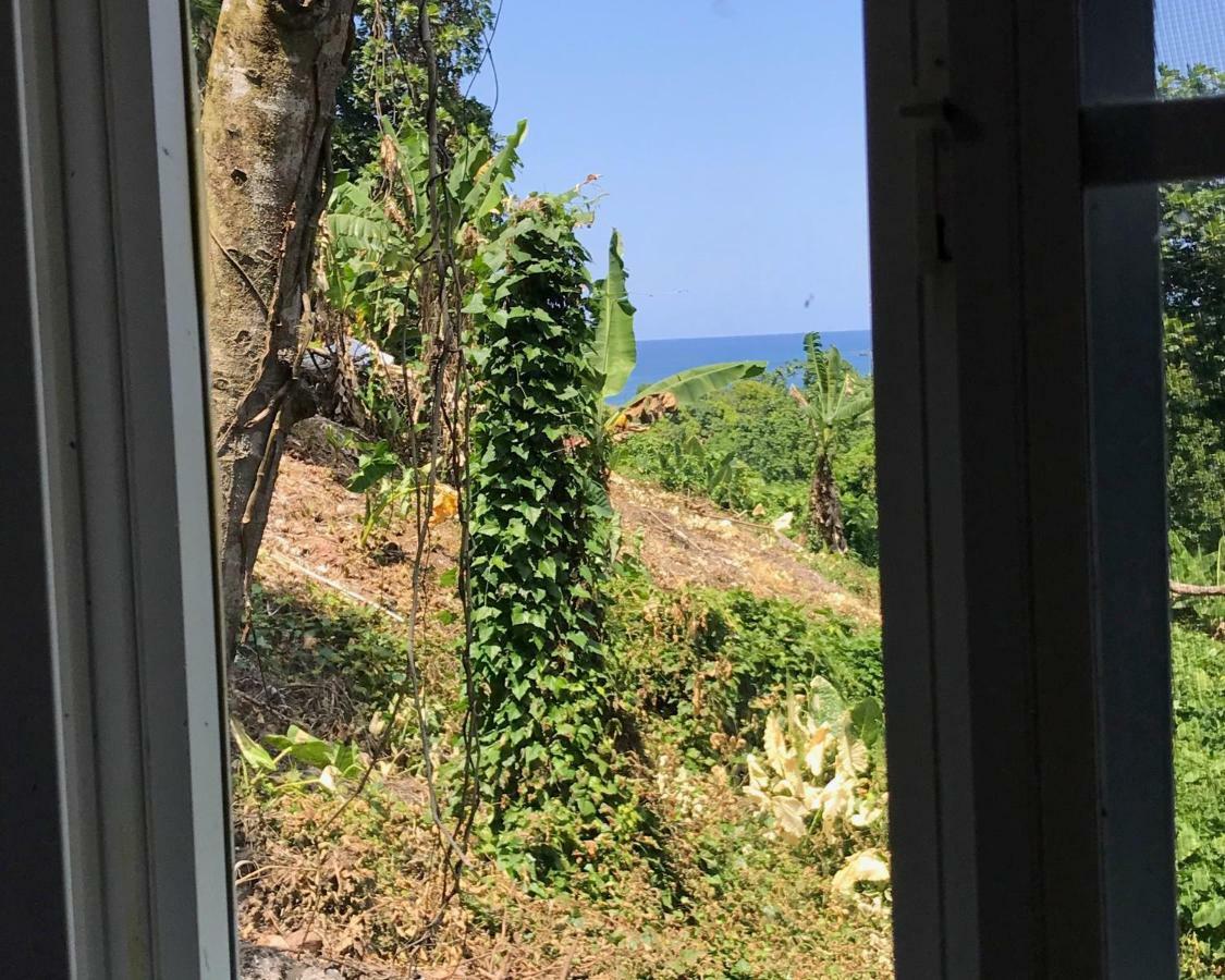 Viva Violas Port Antonio Buitenkant foto